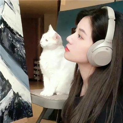 校园合唱团的秘密